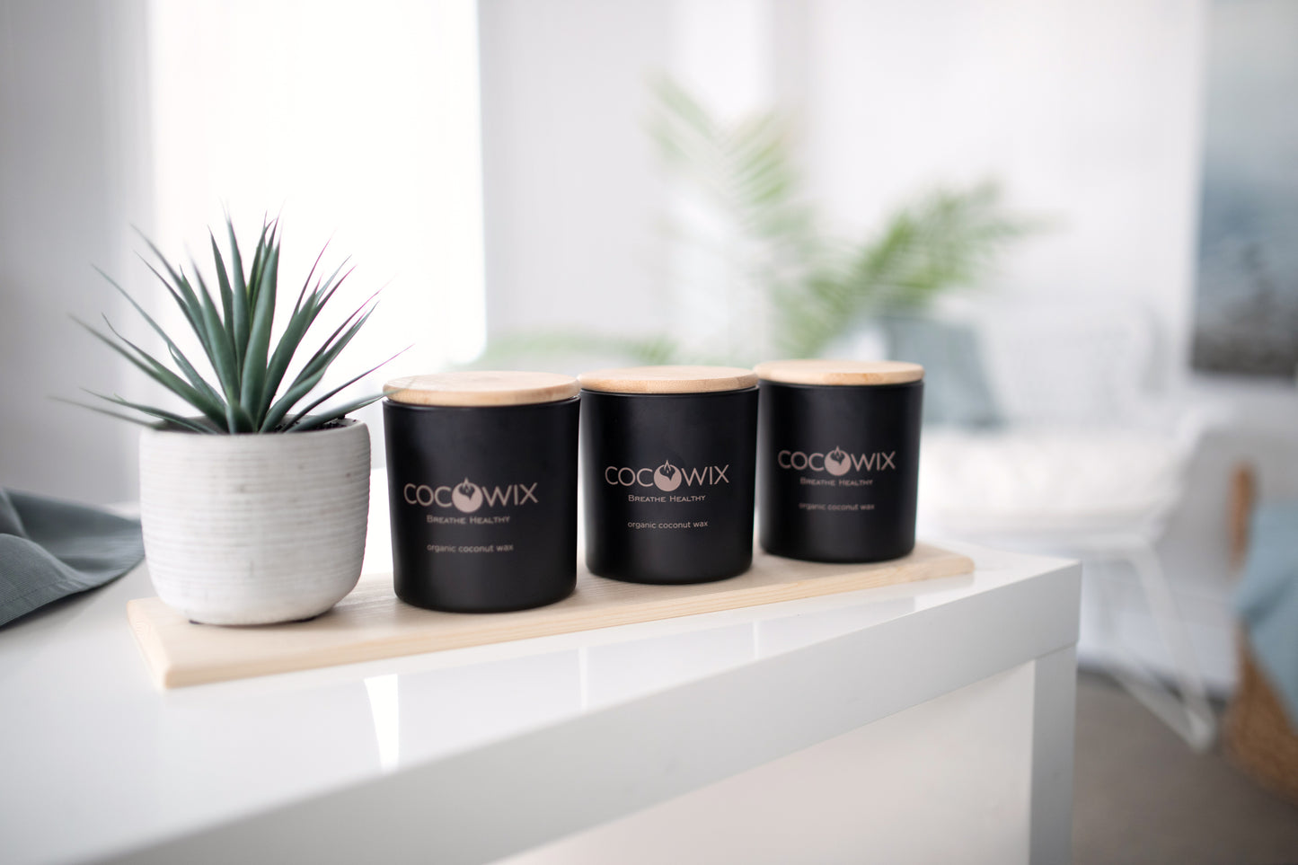 Organic Coconut Wax Candle, Wooden Wick